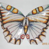 DSCN4010