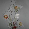 dscn5091