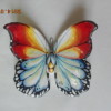 DSCN5682