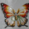 pesci e farfalle (4)