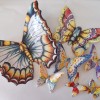 pesci e farfalle (7)